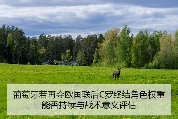pu-tao-ya-ruo-zai-duo-ou-guo-lian-hou-luo-zhong-jie-jue-se-quan-zhong-neng-fou-chi-xu-yu-zhan-shu-yi-yi-ping-gu-2-318.jpg