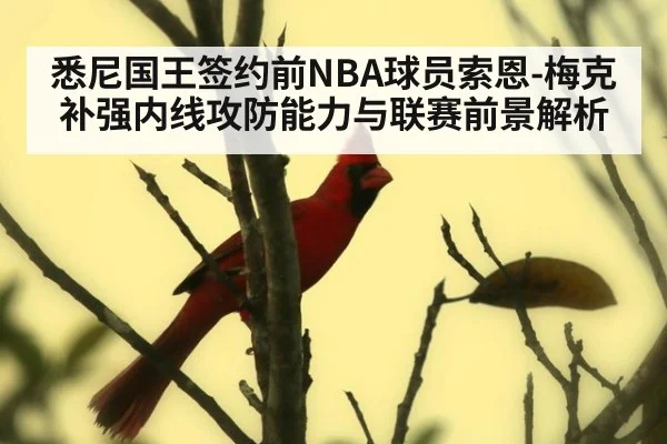 悉尼国王签约前NBA球员索恩-梅克 补强内线攻防能力与联赛前景解析
